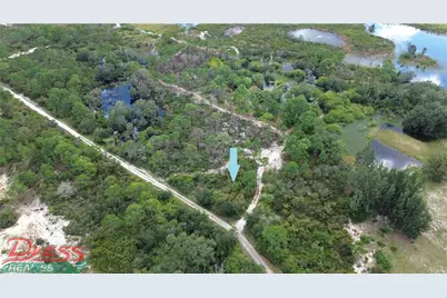 Rollings Hills Dr, Lake Placid, FL 33852 - Photo 3
