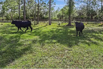 2291 Secretariat Dr, Labelle, FL 33935 - Photo 45