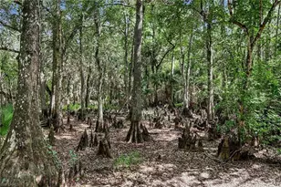 2291 Secretariat Dr, Labelle, FL 33935 - Photo 43