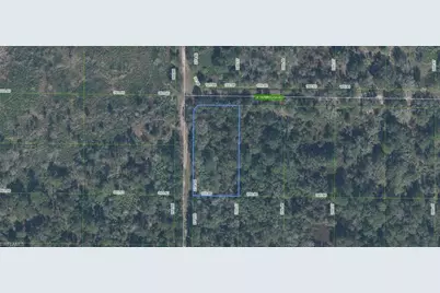 2967 W Yarbrough Rd, Avon Park, FL 33825 - Photo 1