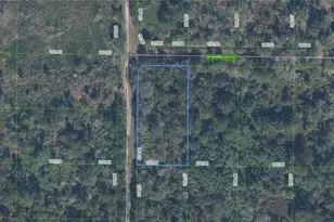2967 W Yarbrough Rd, Avon Park, FL 33825 - Photo 1