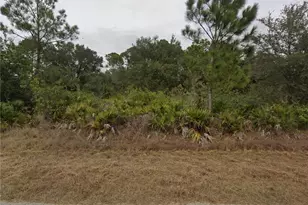 3905 E 21st St, Alva, FL 33920 - Photo 1