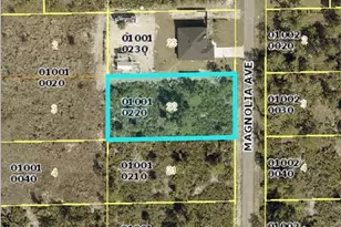 1219 Magnolia Ave, Lehigh Acres, FL 33972 - Photo 1