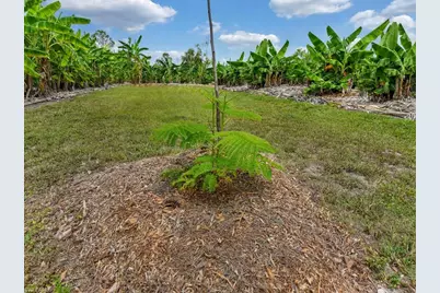50436 Bermont Rd, Punta Gorda, FL 33982 - Photo 23