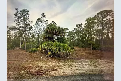 1415 Sheldon Ave, Lehigh Acres, FL 33972 - Photo 1