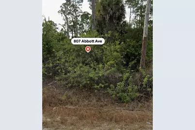 807 Abbott Ave, Lehigh Acres, FL 33972 - Photo 3
