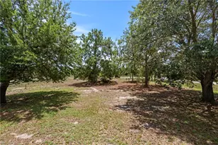 743 Fuller Ave S, Lehigh Acres, FL 33974 - Photo 39