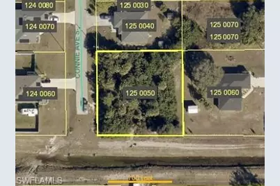 4609 Connie Ave S, Lehigh Acres, FL 33976 - Photo 3