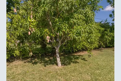 208 NE 9th Ave, Cape Coral, FL 33909 - Photo 27
