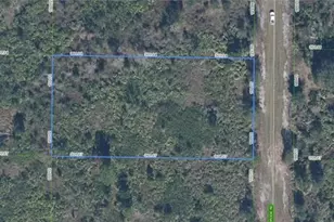 1324 S Brodie Rd, Avon Park, FL 33825 - Photo 1
