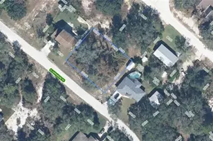 2090 N Larramore Rd, Avon Park, FL 33825 - Photo 1