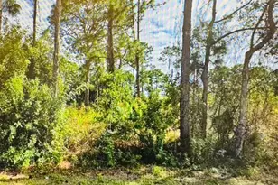 719 Foxtail St E, Lehigh Acres, FL 33974 - Photo 1