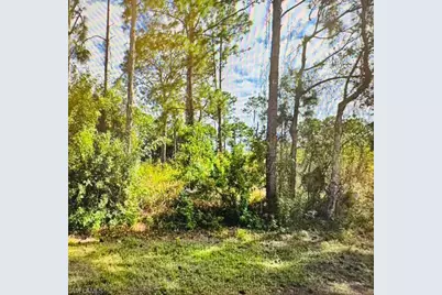 334 Mangonia Ave, Lehigh Acres, FL 33974 - Photo 1