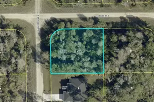 843 Gaylord Ave S, Lehigh Acres, FL 33974 - Photo 1
