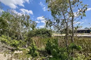 1031 NW 20th Pl, Cape Coral, FL 33993 - Photo 1