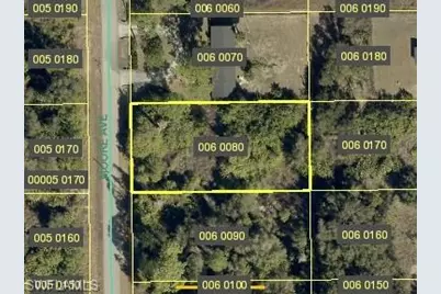 1608 Moore Ave, Lehigh Acres, FL 33972 - Photo 1