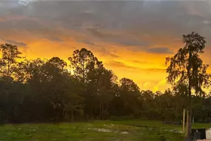 22950 Tina's Ln, Fort Myers, FL 33913 - Photo 27