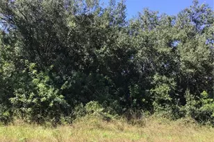 1903 Leroy Ave, Lehigh Acres, FL 33972 - Photo 1
