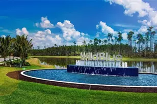 17211 Blue Sapphire Dr, Fort Myers, FL 33913 - Photo 23