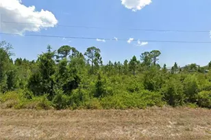 14125 Emerson Ln, Port Charlotte, FL 33981 - Photo 1