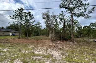 445 Jaguar Blvd, Lehigh Acres, FL 33936 - Photo 1