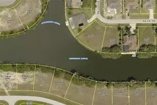 3121 NW 9th St, Cape Coral, FL 33993 - Photo 1