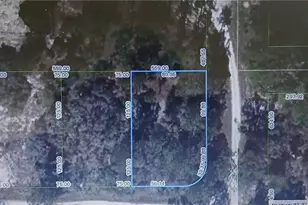 344 Rolling Hills Dr, Lake Placid, FL 33852 - Photo 1