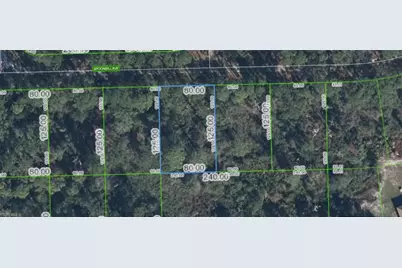3224 Spoonbill Ave, Lake Placid, FL 33852 - Photo 1
