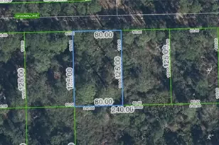 3224 Spoonbill Ave, Lake Placid, FL 33852 - Photo 1