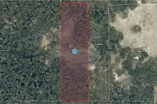 Mikasuki Trail, Paisley, FL 32767 - Photo 1