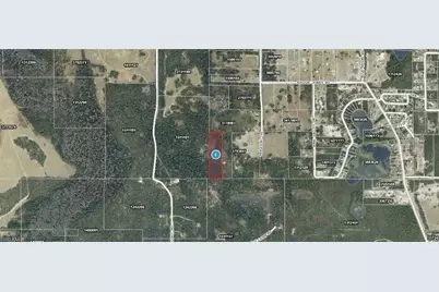 Mikasuki Trl, Paisley, FL 32767 - Photo 3