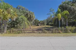 2971 Styles Rd, Alva, FL 33920 - Photo 29