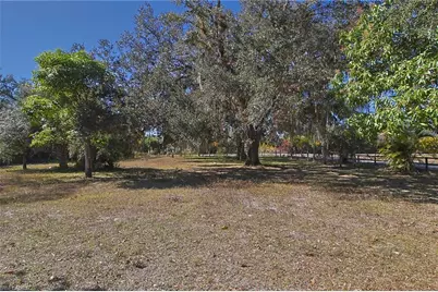 2971 Styles Rd, Alva, FL 33920 - Photo 41