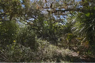 2975 Styles Rd, Alva, FL 33920 - Photo 5