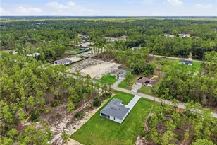 1314 Dayton Ave, Lehigh Acres, FL 33972 - Photo 43