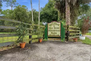 10910 Irish Ln, Fort Myers, FL 33905 - Photo 41