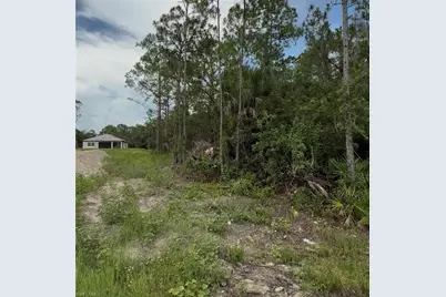 2114 Wellington Ave, Alva, FL 33920 - Photo 3