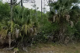 3316 36th St W, Lehigh Acres, FL 33971 - Photo 1