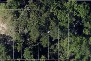 Lot 2-3 Bungalow Blvd, Sanford, FL 32771 - Photo 1