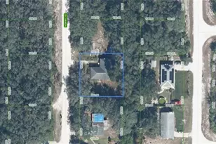 336 N Barrie Rd, Avon Park, FL 33825 - Photo 1