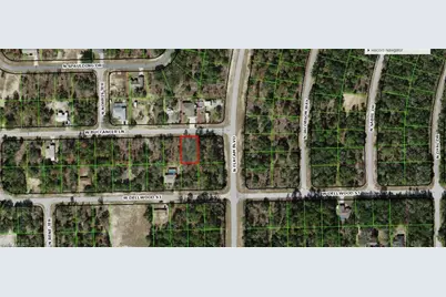 2802 W Buccaneer Ln, Dunnellon, FL 34433 - Photo 3