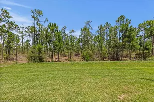 20615 Plumwood Loop, North Fort Myers, FL 33917 - Photo 33