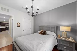 20615 Plumwood Loop, North Fort Myers, FL 33917 - Photo 23