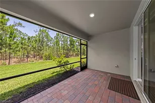 20615 Plumwood Loop, North Fort Myers, FL 33917 - Photo 29