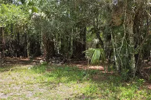 4756 Skates Cir, Fort Myers, FL 33905 - Photo 33