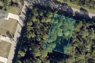 954 Iris St E, Lehigh Acres, FL 33974 - Photo 1