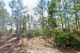 339 Mines St, Lehigh Acres, FL 33972 - Photo 1