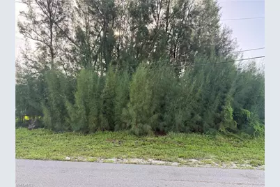 137 SW 34th Ave, Cape Coral, FL 33991 - Photo 1