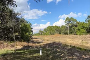 339 Western Ave S, Lehigh Acres, FL 33974 - Photo 7