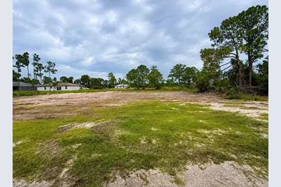 845 Dante Ave S, Lehigh Acres, FL 33974 - Photo 3